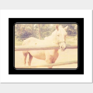 Retro Palomino Horse at Fence Posters and Art